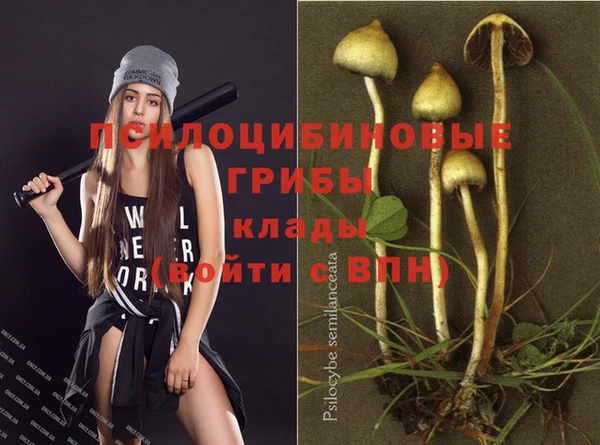 мдпв Магадан