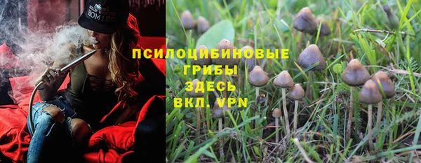 apvp Магас