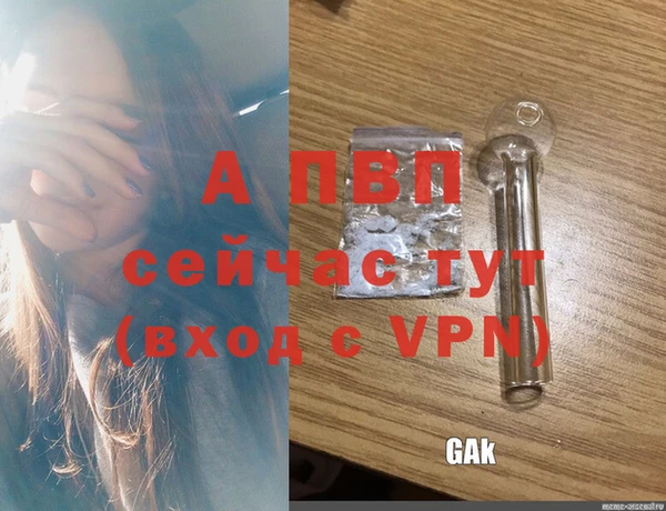 apvp Магас