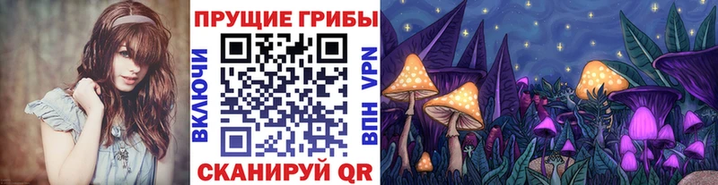 Галлюциногенные грибы мицелий  наркотики  Раменское 